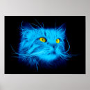 Pesquisar por rostos pósteres Gata