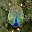 Pesquisar por pavão azul ornamentos Pássaro