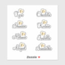 Pesquisar por corte de vidro adesivos Autocolante