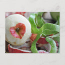 Pesquisar por maçã para o professor cartoes postais Maçãs