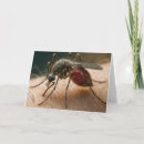 Pesquisar por mosquito o cartoes Engraçado