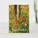 Pesquisar por papoilas vermelhas cartoes Plantas