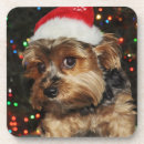 Pesquisar por yorkshire terrier porta copos Yorkie