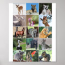 Pesquisar por animais selvagens pósteres Crianças