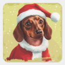 Pesquisar por de do dachshund adesivos Feriado