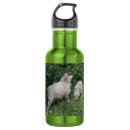 Pesquisar por ovelhas garrafa agua Para todos