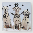 Pesquisar por dalmatian artes pósteres Amante do cão