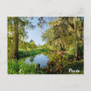 Pesquisar por o florida cartoes postais Orlando