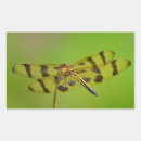 Pesquisar por inseto amarelo adesivos Ouro