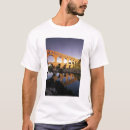Pesquisar por aquedutos camisetas Arquitetura