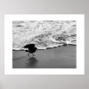 Pesquisar por preto e branco da gaivota artes pósteres Fotografia