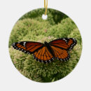 Pesquisar por jardim da borboleta ornamentos Qualquer pessoa