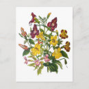 Pesquisar por ilustração macaco cartoes postais Colheita