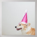 Pesquisar por pembroke pósteres Corgi