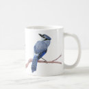 Pesquisar por blue jays canecas Vida selvagem