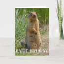 Pesquisar por funny squirrel cartoes Wildlife