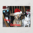 Pesquisar por funny christmas cartoes convites Humor