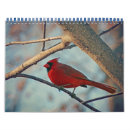 Pesquisar por jay calendarios Cardeal