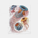 Pesquisar por medusa Haeckel