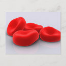 Pesquisar por glóbulos cartoes postais Citologia