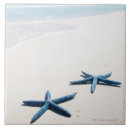 Pesquisar por estrela mar azulejos Criaturas do sealife