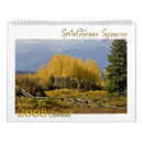 Pesquisar por yellowstone fotografia Bisonte