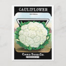 Pesquisar por fruit cartoes postais Vintage