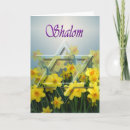 Pesquisar por passover cartoes Shalom