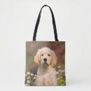 Pesquisar por golden retriever acessorios Animal