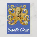 Pesquisar por polvo gigante cartoes postais Oceano