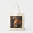 Pesquisar por cavalo bolsas Equestre