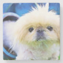 Pesquisar por pekingese Animais