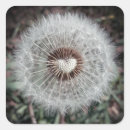 Pesquisar por dentes de leão adesivos Para todos