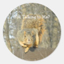 Pesquisar por bobo adesivos Humor