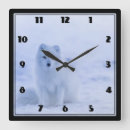 Pesquisar por raposa branca neve artes pósteres Vida selvagem