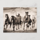 Pesquisar por animais do deserto cartoes postais Fotografia