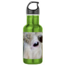 Pesquisar por ovelhas garrafa agua Fofofo