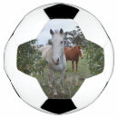 Pesquisar por cavalo for bola futebol Para todos