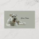 Pesquisar por amante cartao de visita Cão