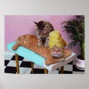 Pesquisar por gatos engraçados pósteres humor