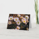 Pesquisar por amor incondicional cartoes Flores