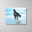 Pesquisar por cavalo pinturas impressão de canvas Animais
