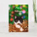 Pesquisar por tuxedo kitten cartoes Gato