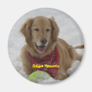 Pesquisar por merchbooth imas Animais