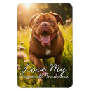 Pesquisar por bordeaux imas Dogue de bordeaux