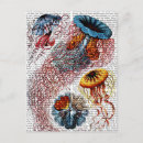 Pesquisar por antique cartoes postais Steampunk