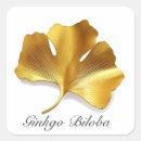 Pesquisar por ginkgo adesivos Biloba de ginkgo