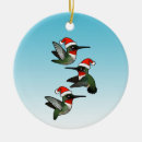 Pesquisar por colibris ornamentos Bonito