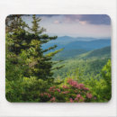Pesquisar por appalachian eletronicos Floresta