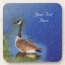 Pesquisar por ganso canadense porta copos Aves